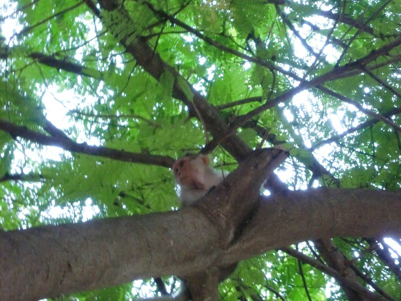 India Trip - July 2010 312.jpg